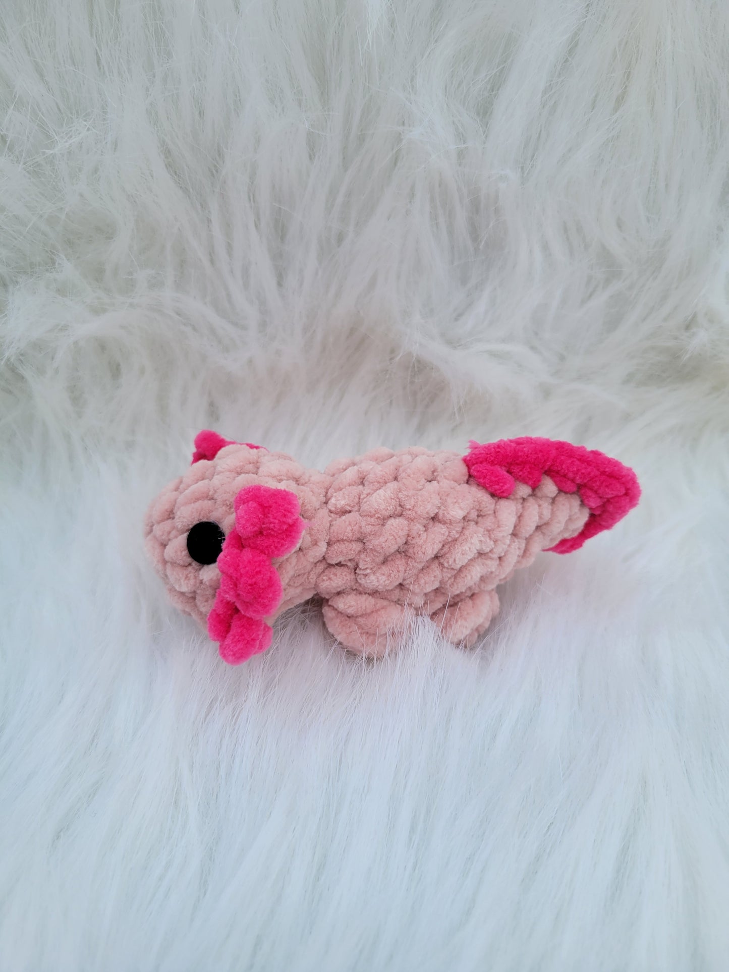 Axolotl