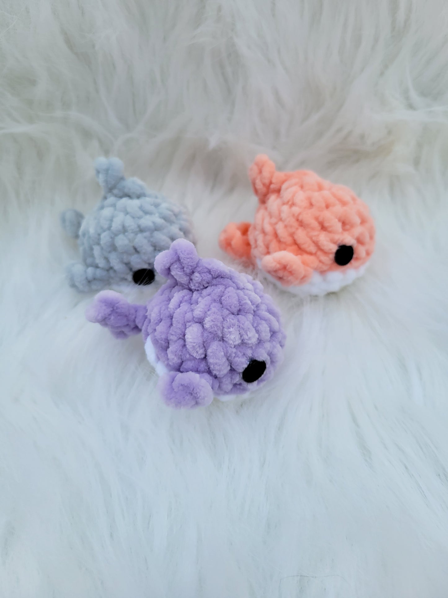 Mini Sharks